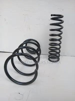 Toyota Vanguard Coil Springs.
