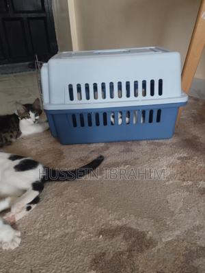 High Quality Plastic Pet Bag - main view