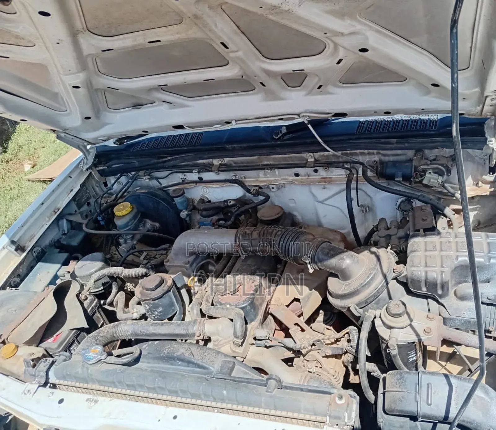 Nissan Hardbody 2008 White