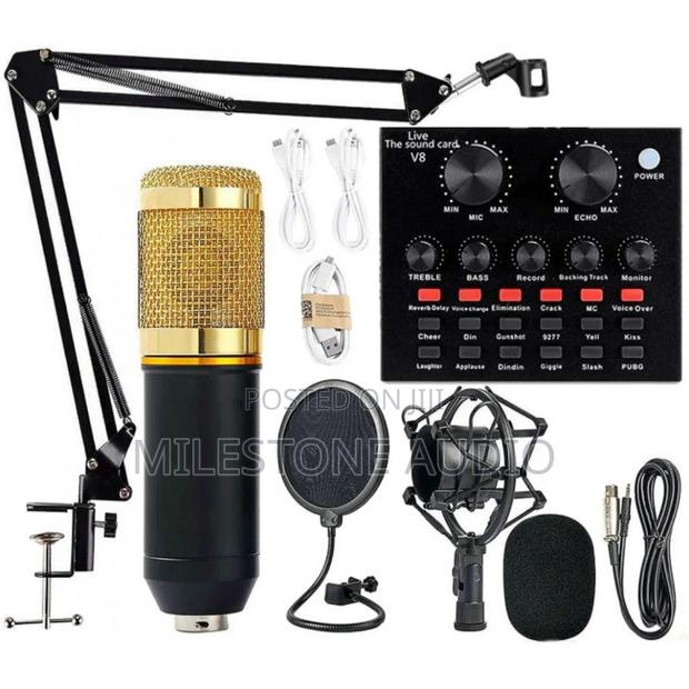 Bm800 Professional Condenser Microphone With V8 Sound Card in Kenya - main view