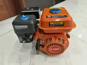 Astra Milano Gasoline Engine 7.5 Hp