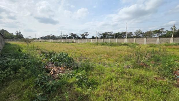 Plots for Sale - thumbnail 4