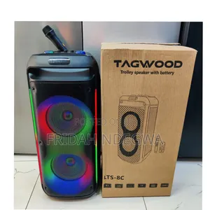 *Tagwood Rechargeable Party Box With Microphone and Remote