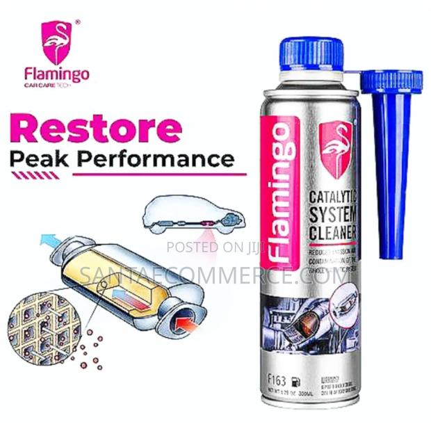 Flamingo F163 Catalytic System Cleaner