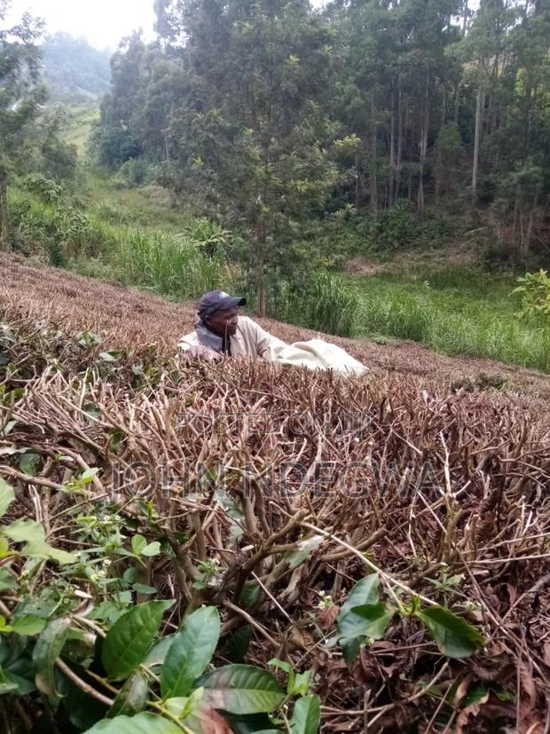 Karatina Nyeri Prime Land - thumbnail 16