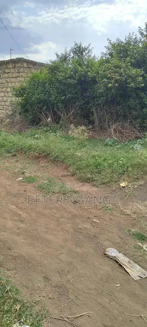 Land On Sale