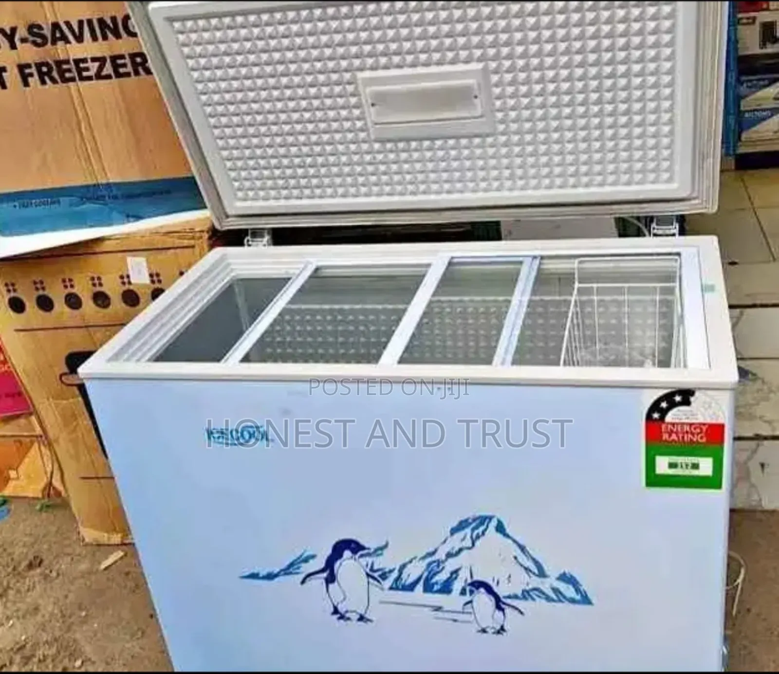 Ecomax 169litres Deep Freezer