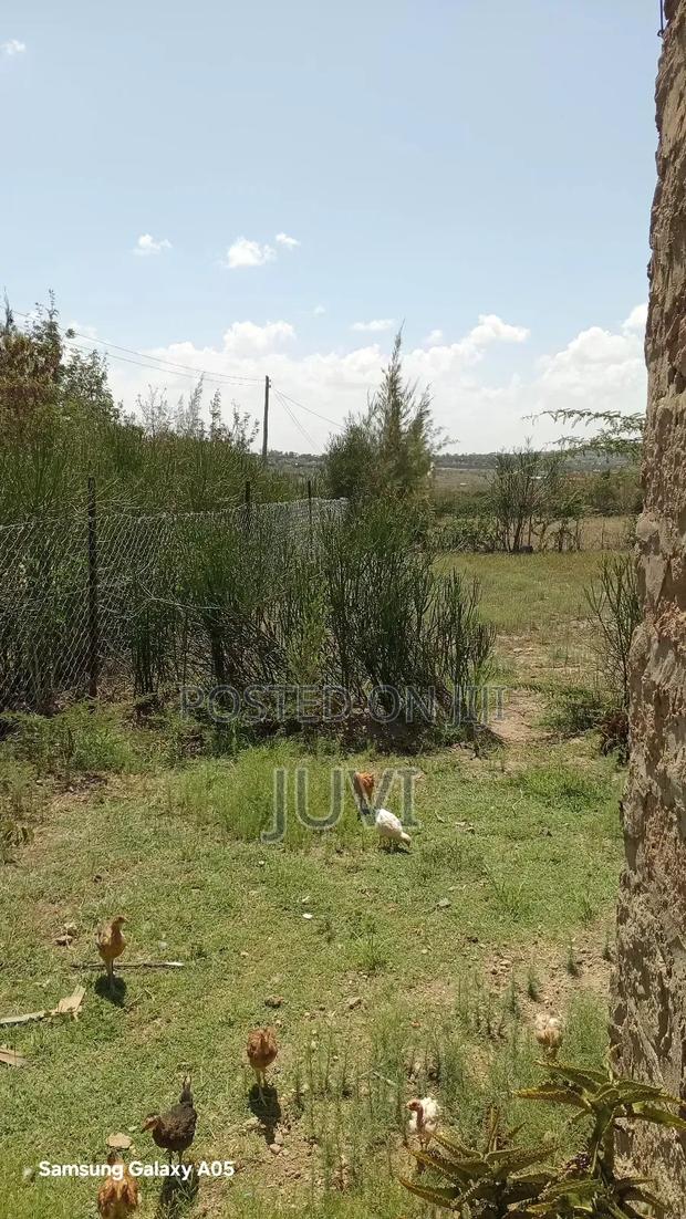 2.04acre,Price Negotiable - thumbnail 6