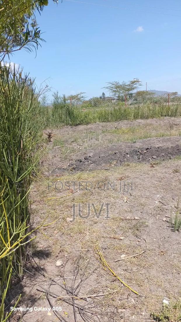 2.04acre,Price Negotiable - thumbnail 15