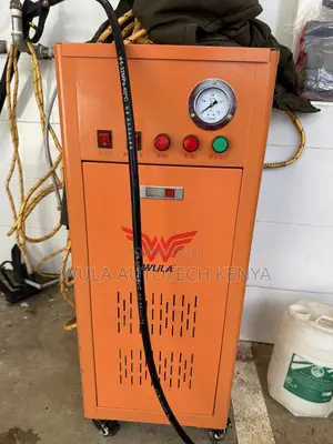 High Quality Two Guys Steaming Car Wash Machine Yellow