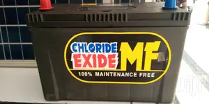 Chloride Exide MF Battery