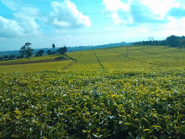 Limuru 570 Acres Tea Estate - main view