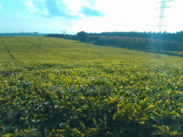 Limuru 570 Acres Tea Estate - thumbnail 3