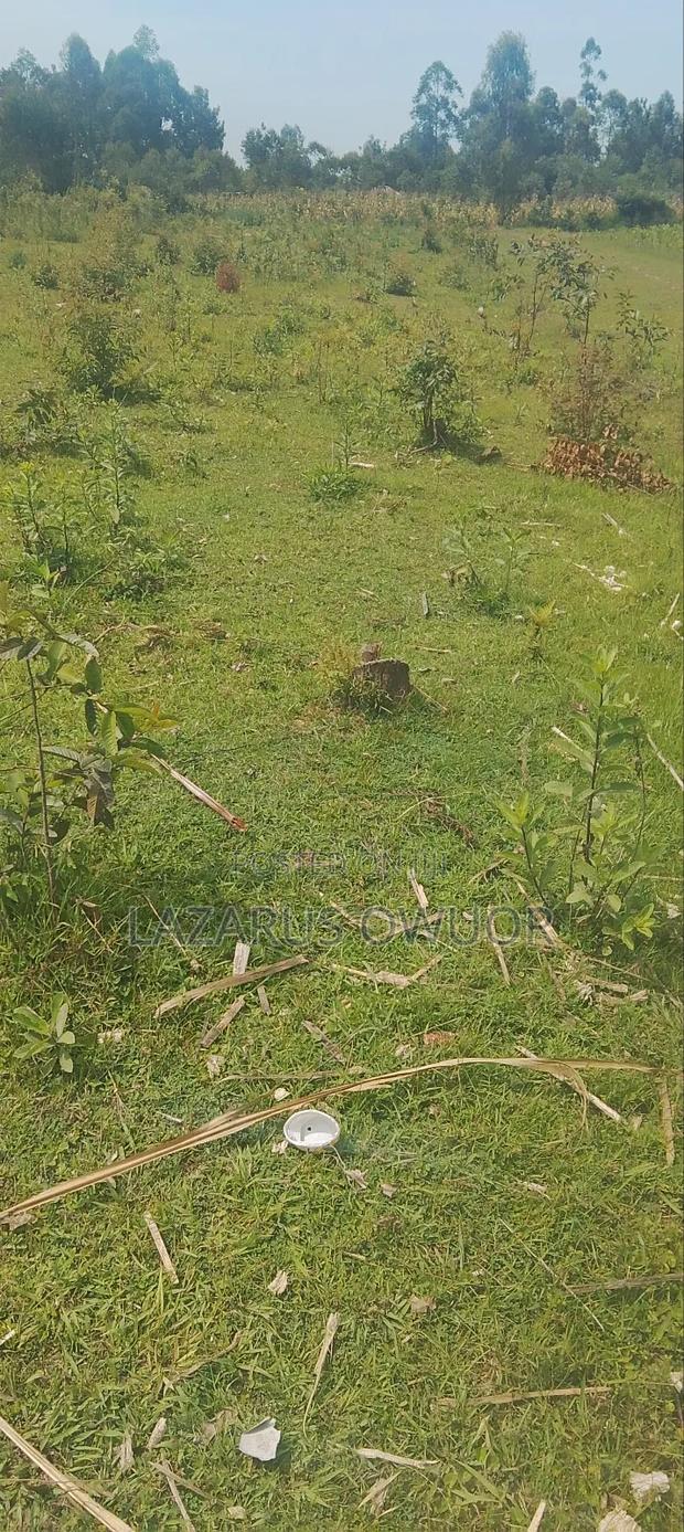 Land For Sale - main view