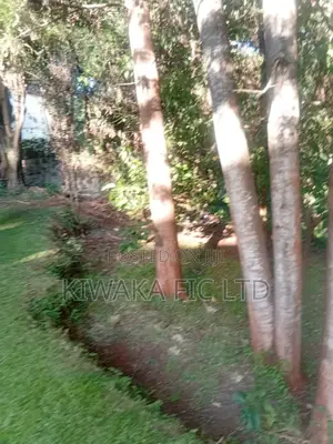 1.07 Acre Plot for Sale in Kileleshwa