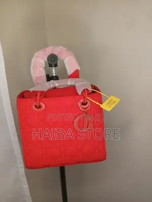 Inspired Ladies Handbags