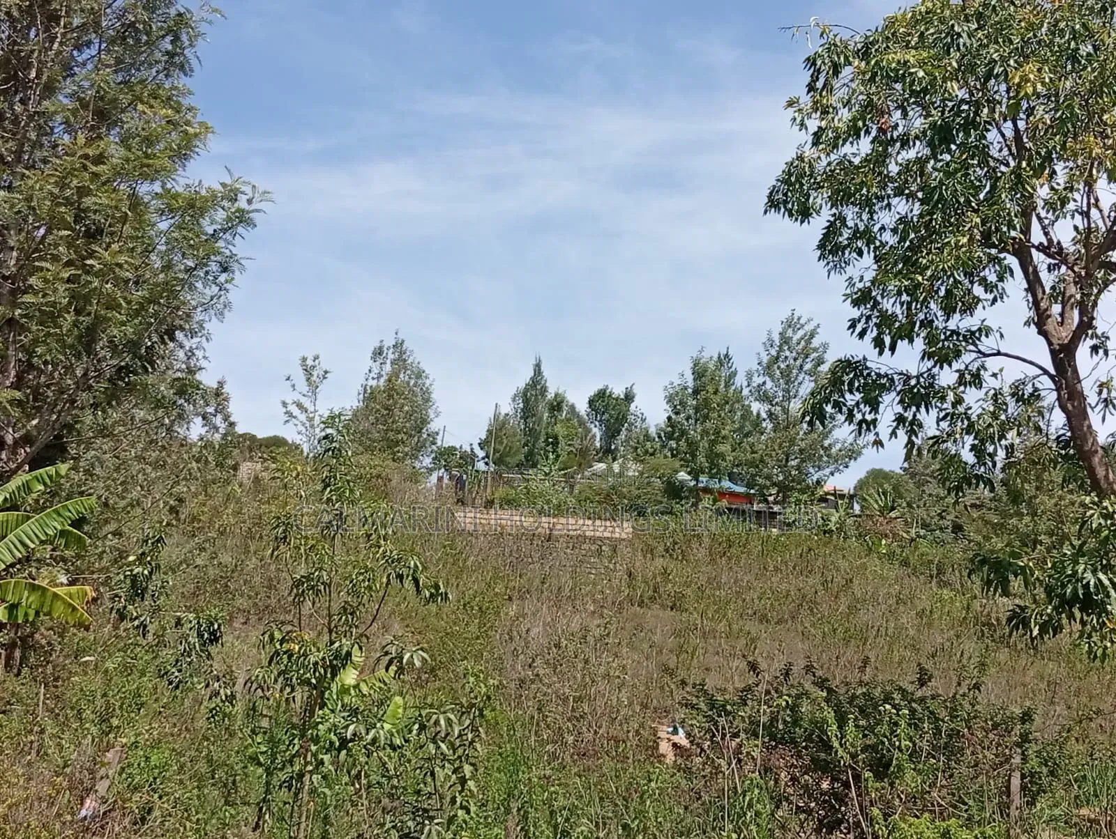 Distressed Deal! Full Quarter Acre in Matasia, Ngong at Kes 2.35m