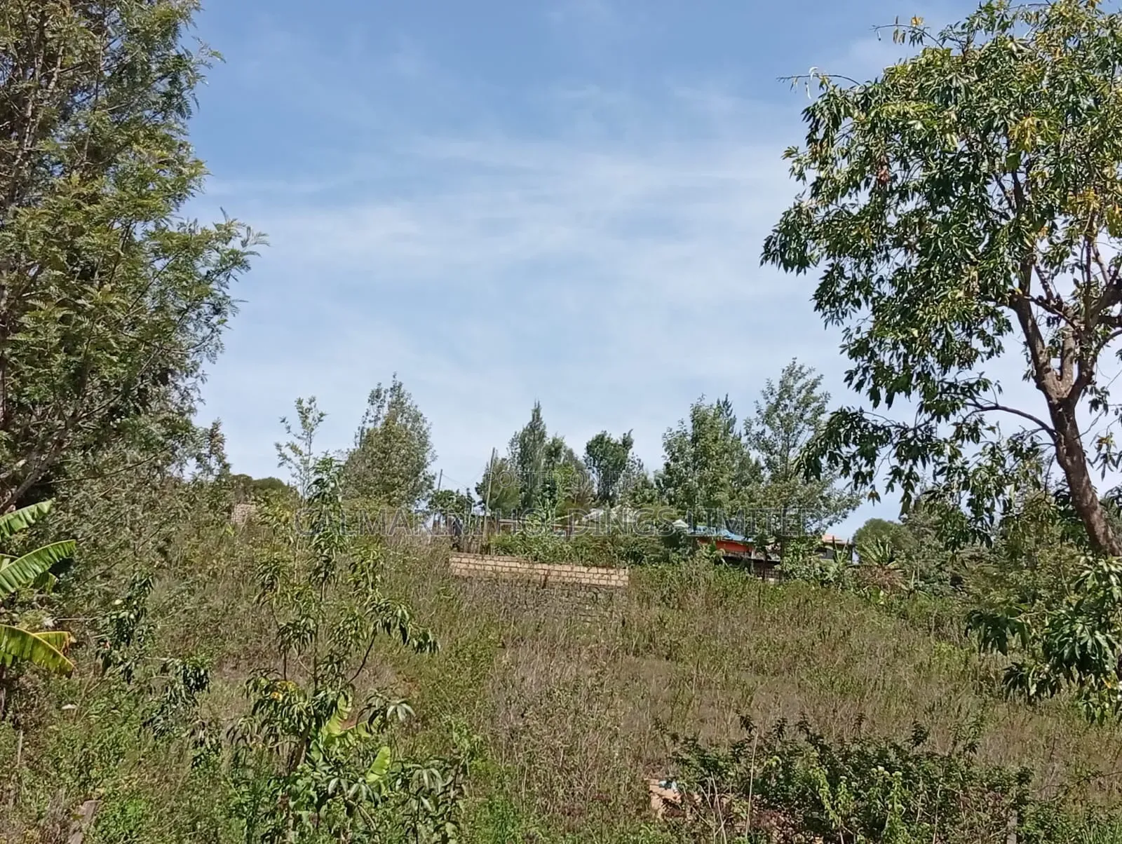 Distressed Deal! Full Quarter Acre in Matasia, Ngong at Kes 2.35m
