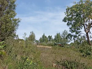 Distressed Deal! Full Quarter Acre in Matasia, Ngong at Kes 2.35m