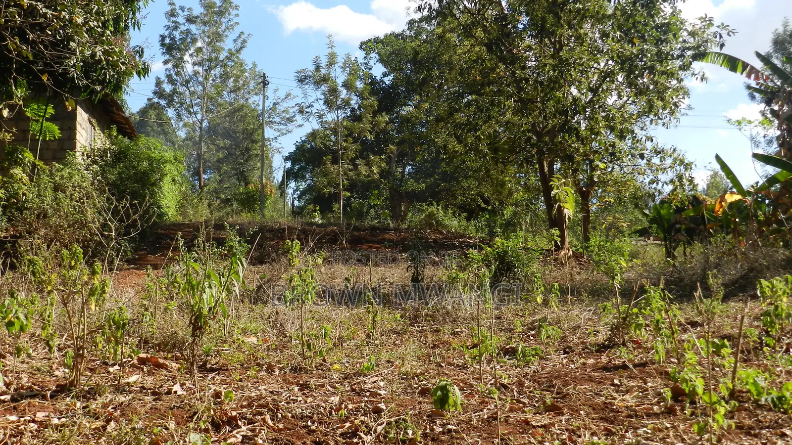 Quatre Acre Land for Sale in Kenol