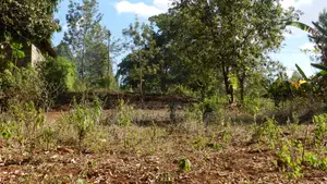 Quatre Acre Land for Sale in Kenol