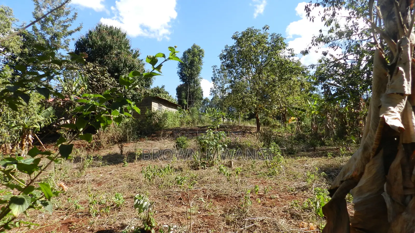 Quatre Acre Land for Sale in Kenol