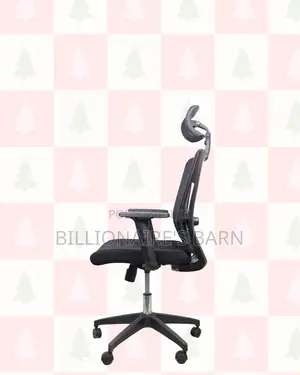 Ergonomic Mesh Task Chair for Work | Easy Adjustments.