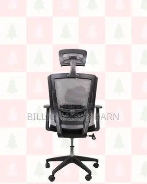 Ergonomic Mesh Task Chair for Work | Easy Adjustments.
