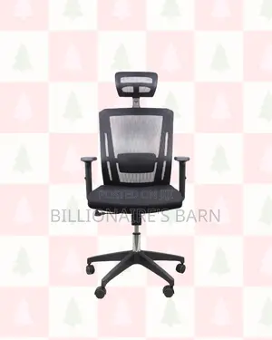 Ergonomic Mesh Task Chair for Work | Easy Adjustments.