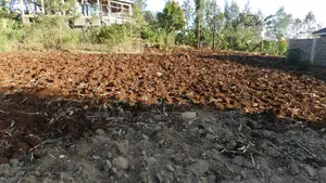 50x100 Plot of Land for Sale in Muranga County