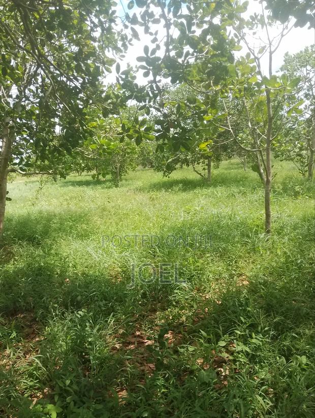Malindi Farm 7 Acres Land - thumbnail 2
