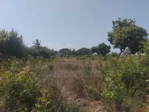 Plots for 50 by 100 in Mtwapa Near Mtwapa Primary