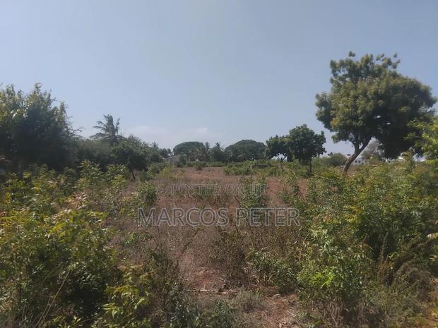 Plots for 50 by 100 in Mtwapa Near Mtwapa Primary - main view
