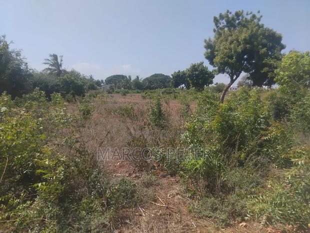 Plots for 50 by 100 in Mtwapa Near Mtwapa Primary - thumbnail 2