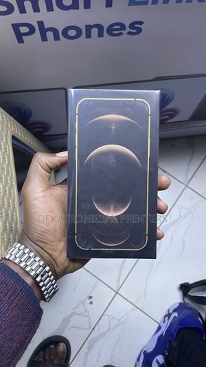 New Apple iPhone 12 Pro Max 256 GB Silver - main view