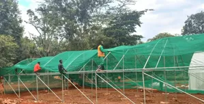 Shade Nets