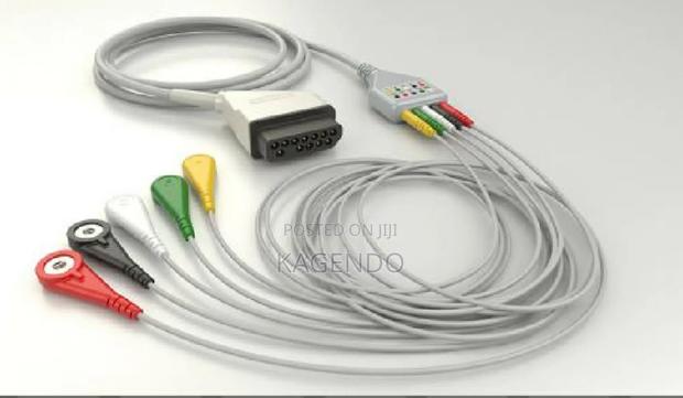 Ecg Lead Probe - main view