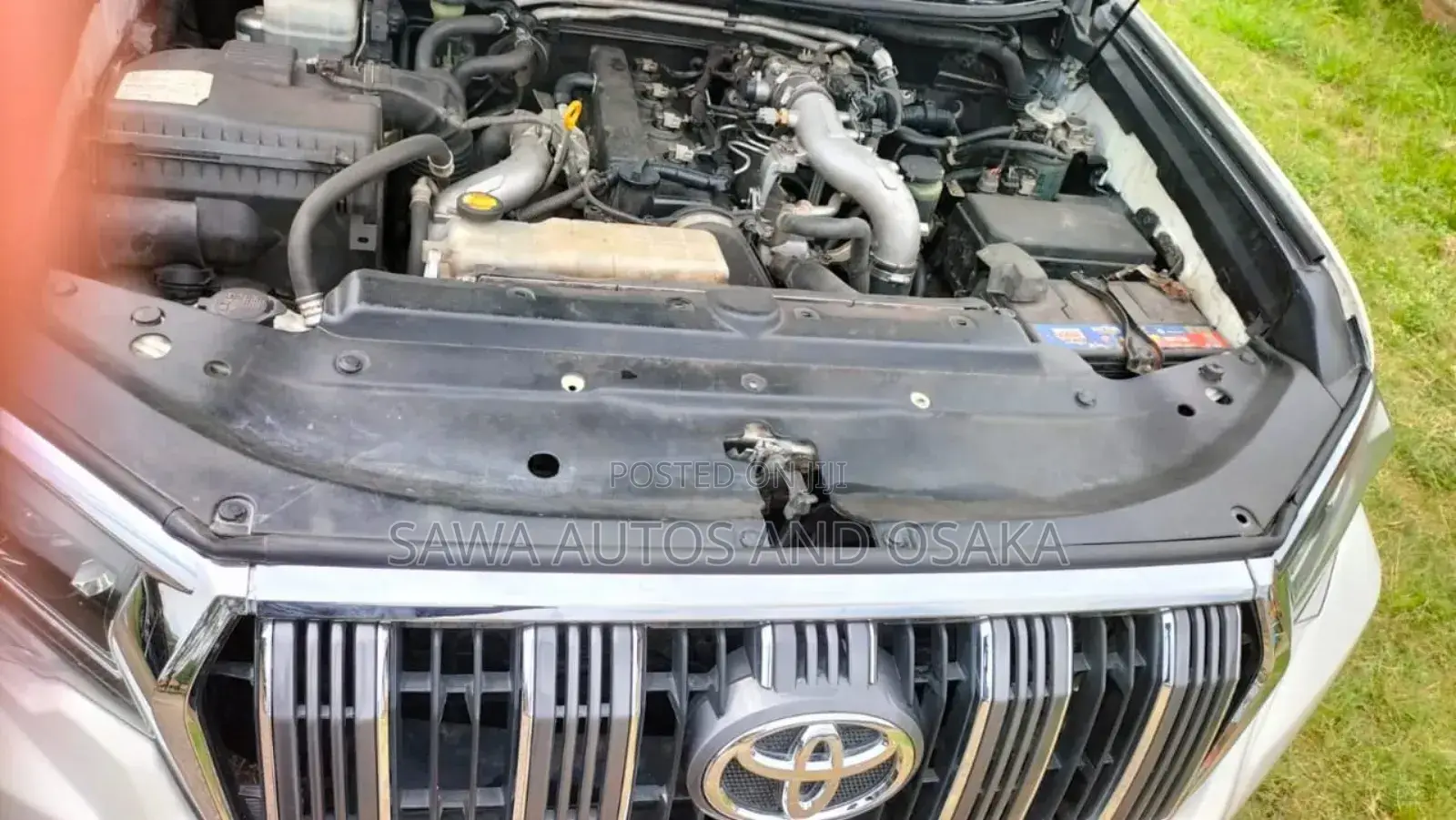 Toyota Land Cruiser 2014 White
