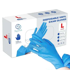 Powder-Free Vinyl Gloves – Large