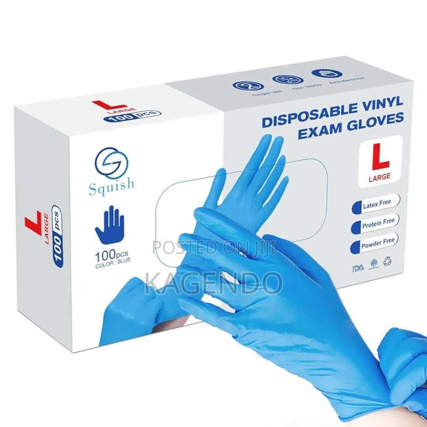 Powder-Free Vinyl Gloves – Large
