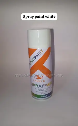 450ml White Knicker Spray Paint