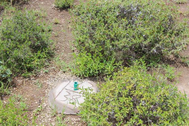 1/8 Acre Freehold Plots Touching Tarmac -oltepesi Tinga Town. - thumbnail 4