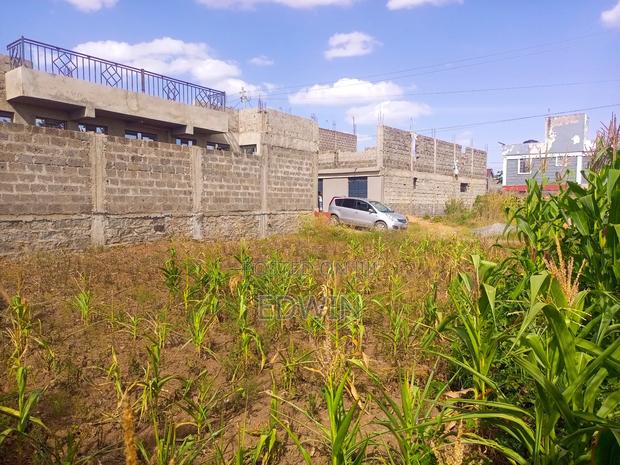 Ruiru Matangi Near P.C.E.A Macedonia Plot - thumbnail 7