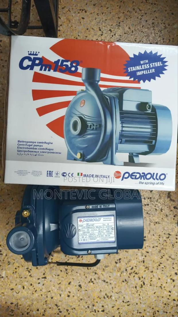 Original Italian Pedrollo Water Pump 1hp