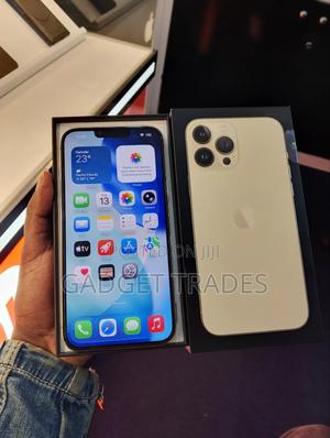 Apple iPhone 13 Pro Max 256 GB Gold