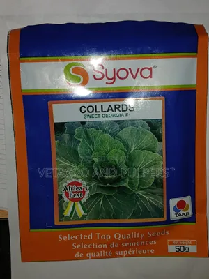 Collards Sweet Georgia F1