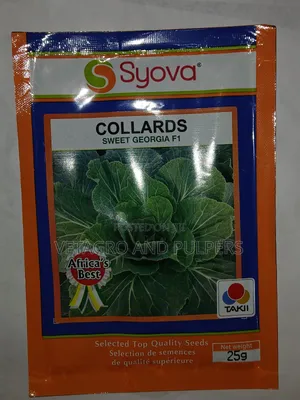 Collards Sweet Georgia F1