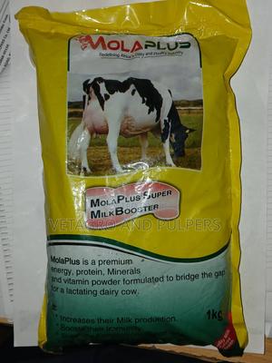 Molaplus Super Milk Booster - main view