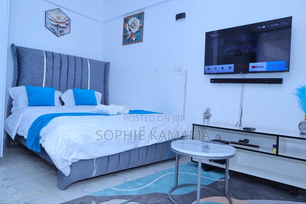 Studio Airbnb at Mebley Ruiru - main view