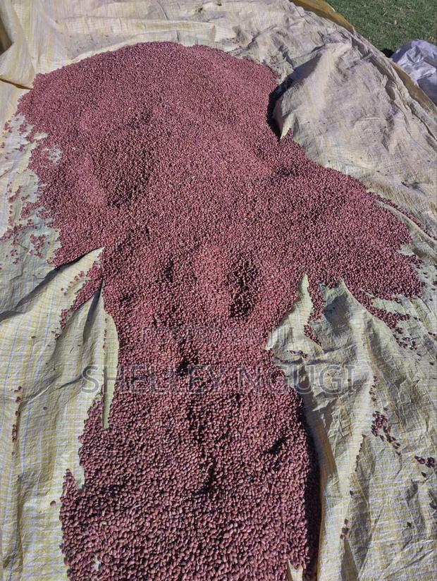 Rosecoco Beans - main view